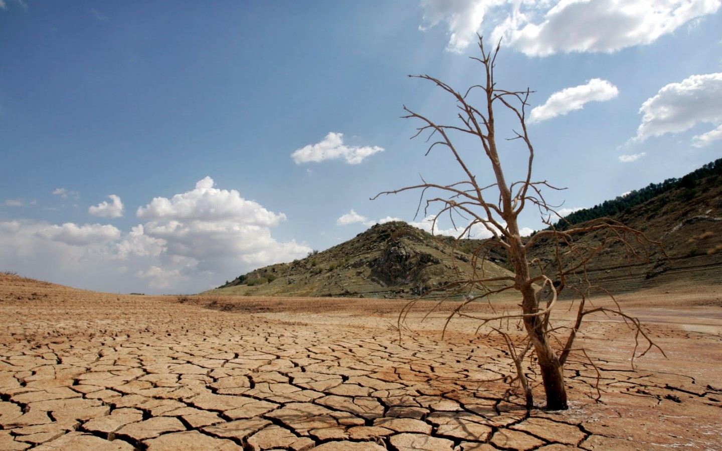 Registros del Fenómeno El Niño en el Perú